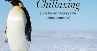 (Tips for recharging after a long semester)