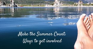 Make the Summer Count_ Ways to get involved